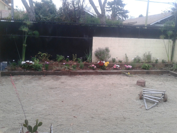 Imagen 5 de servicio