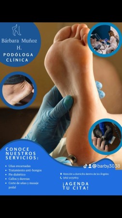 Imagen 0