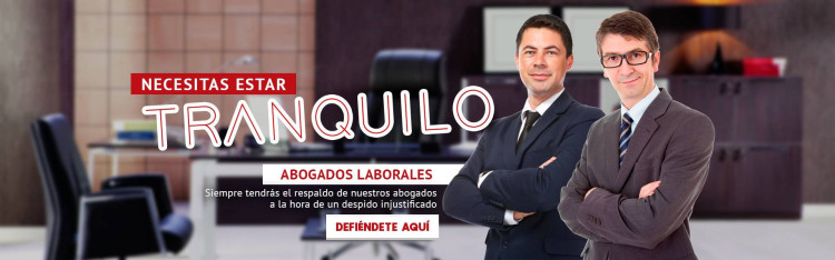 Imagen 19 de servicio