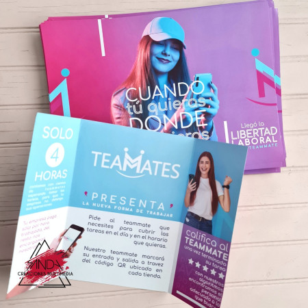 Imagen 8 de servicio