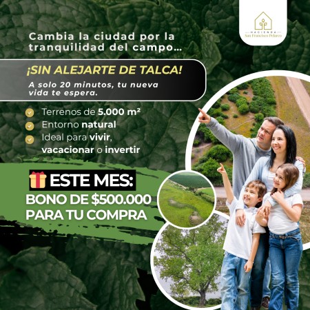 Imagen 0