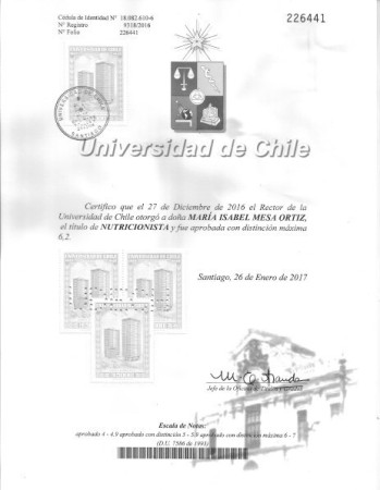 Imagen 5 de servicio