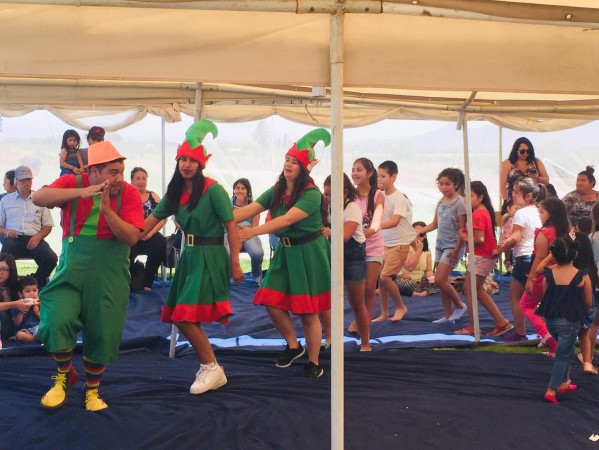 Imagen 12 de servicio