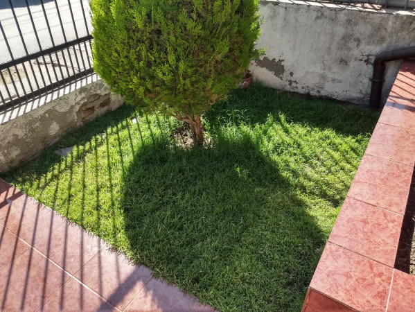 Imagen 8 de servicio