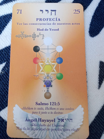 Imagen 4 de servicio
