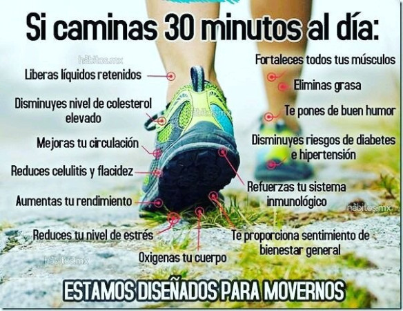 Imagen 5 de servicio