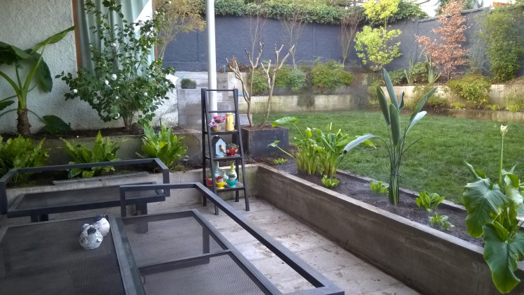 Imagen 4 de servicio