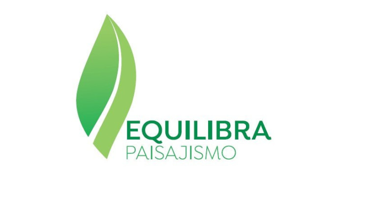 Imagen 10 de servicio