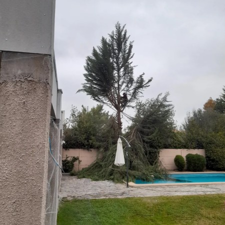 Imagen 5 de servicio