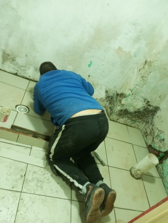 Imagen 4 de servicio
