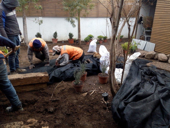 Imagen 12 de servicio