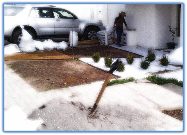 Imagen 16 de servicio