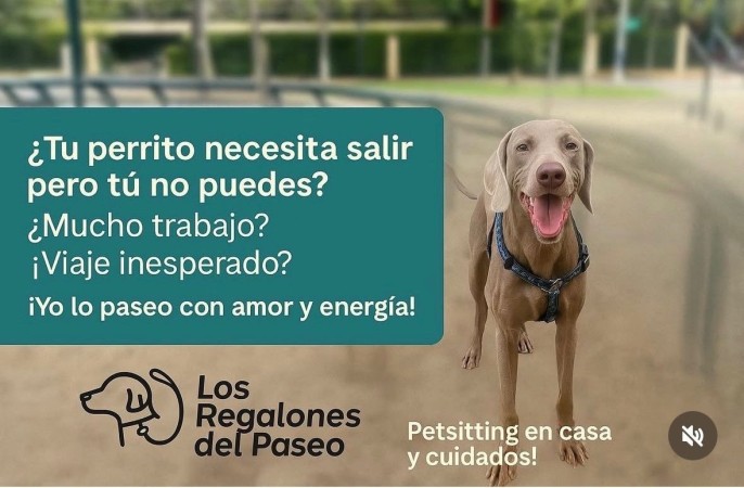 Imagen 0