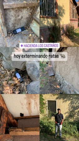 Imagen 0