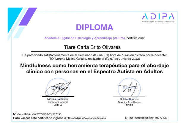 Imagen 2