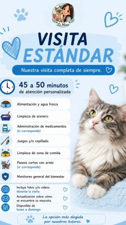 Imagen 3 de servicio
