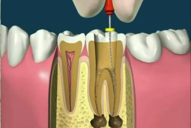 Imagen principal del servicio