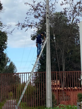 Imagen 2