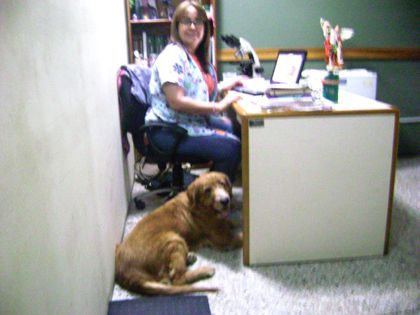 Imagen 2