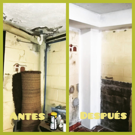 Imagen 24 de servicio
