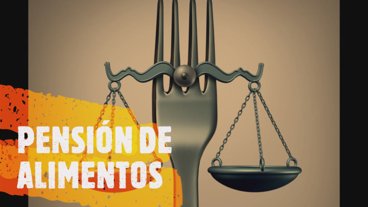 Imagen 5 de servicio