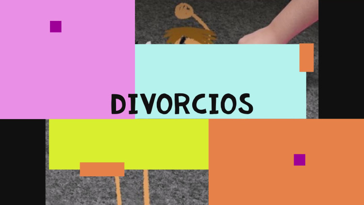 Imagen 9 de servicio