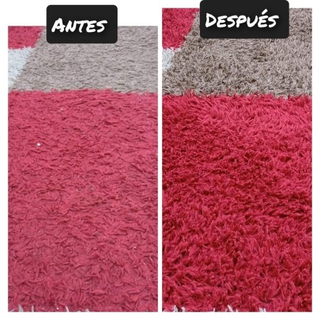 Imagen 0
