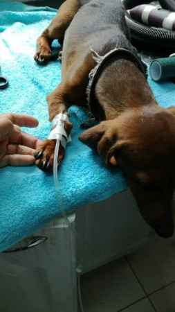 Imagen 1