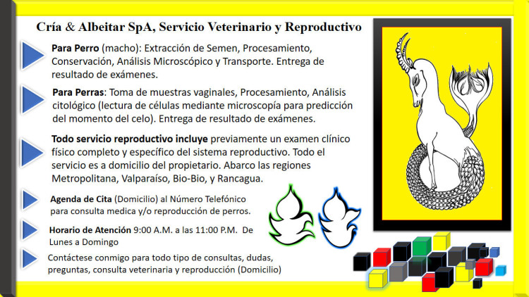Imagen 13 de servicio