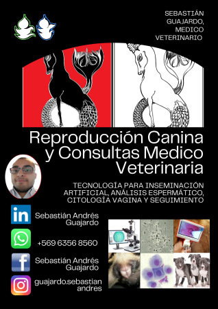 Imagen 17 de servicio