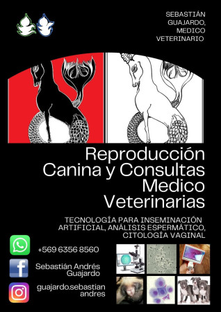 Imagen 18 de servicio