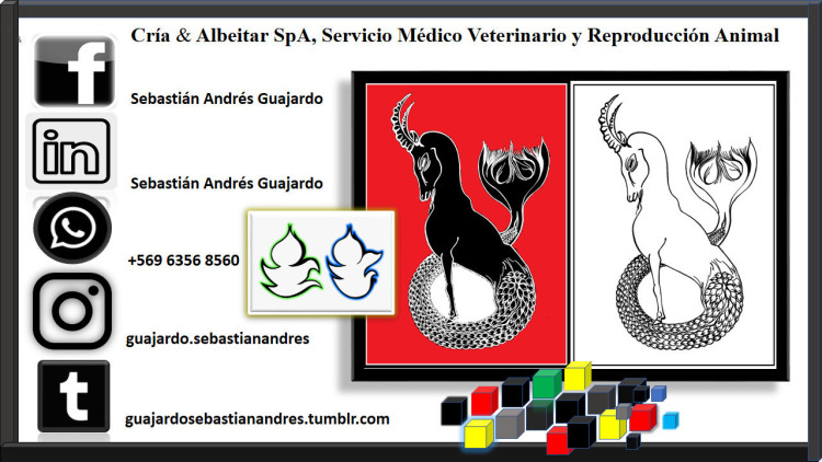 Imagen 19 de servicio