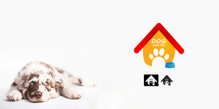 Imagen 5 de servicio