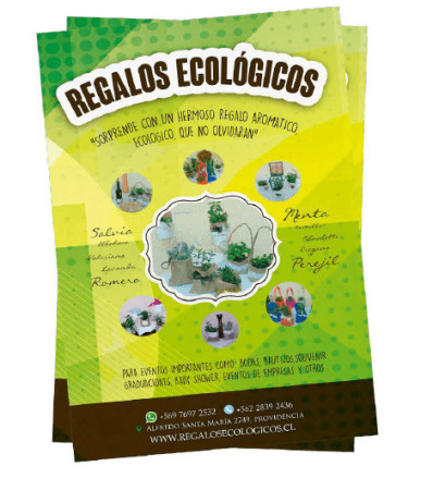 Imagen 20 de servicio
