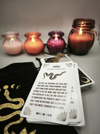 Imagen 8 de servicio