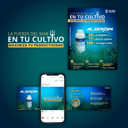 Imagen 0