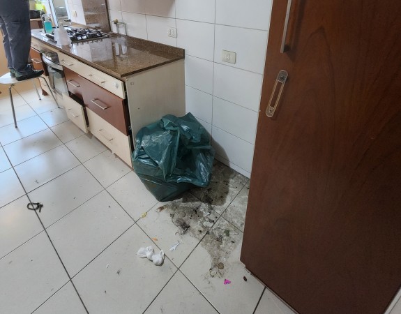 Imagen 78 de servicio