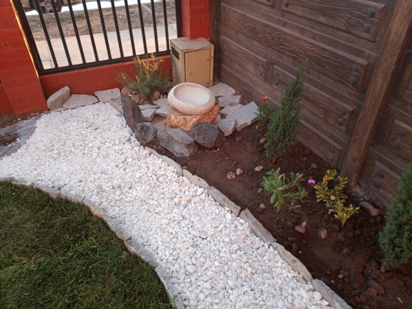 Imagen 6 de servicio