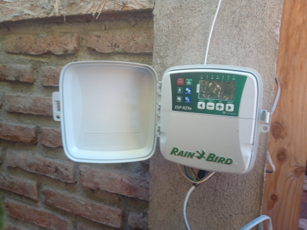 Imagen 10 de servicio