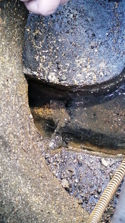 Imagen 3 de servicio