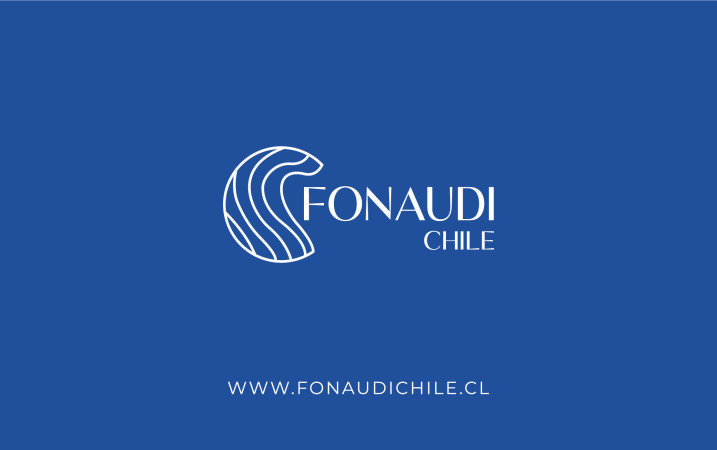 Imagen 10 de servicio