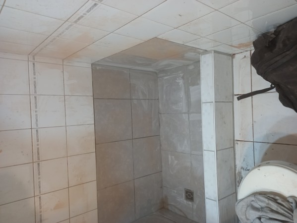 Imagen 104 de servicio