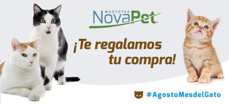 Imagen 14 de servicio