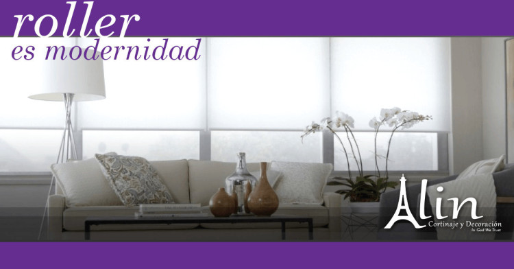 Imagen 15 de servicio