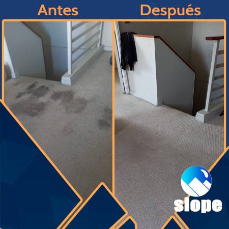 Imagen 10 de servicio