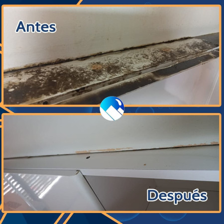 Imagen 12 de servicio