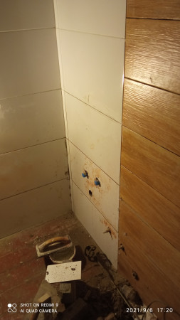 Imagen 18 de servicio