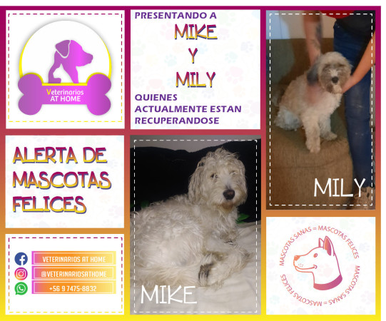 Imagen 0
