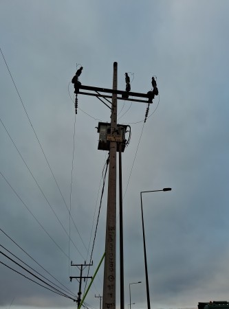 Imagen 30 de servicio