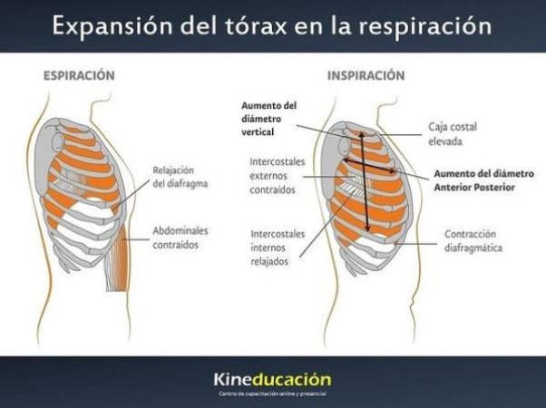 Imagen 0